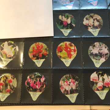 Krd - 0735 Fuchsien
