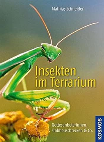 Insekten im Terrarium: Gottesanbeterinnen, Stabheuschrecken & Co.