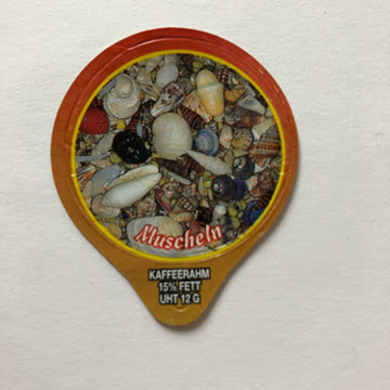 Krd - 1285 Muscheln III