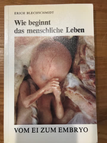 Wie Beginnt Das Menschliche Leben Vom Ei Zum Embryo Gunstig