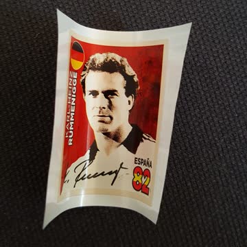 Exsila Artikel: Panini 2018