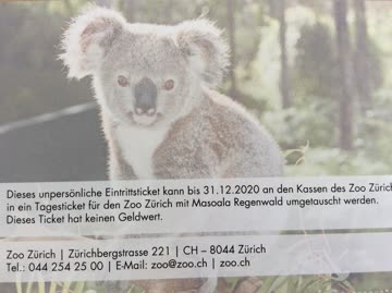 Zoo Zürich Eintrittskarte für eine erwachsene Person
