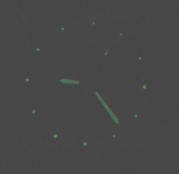 *Neu*Military Uhr silbrig mit Grün 100% Neu