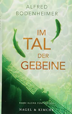 Im Tal der Gebeine: Rabbi Kleins fünfter Fall