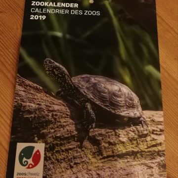 Zoo Kalender für 2019