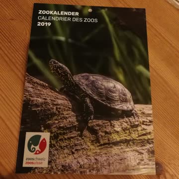 Zoo Kalender für 2019