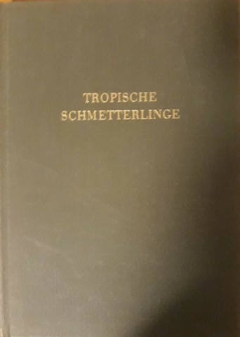 Sammlerbuch - Tropische Schmetterling