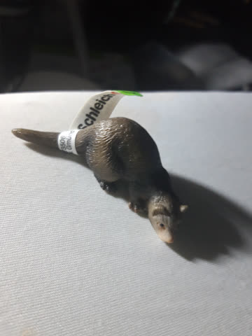 Schleich Frettchen 14418