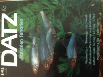 DATZ Aquarien- Terrarienzeitschrift. Nr. 8 / 1993