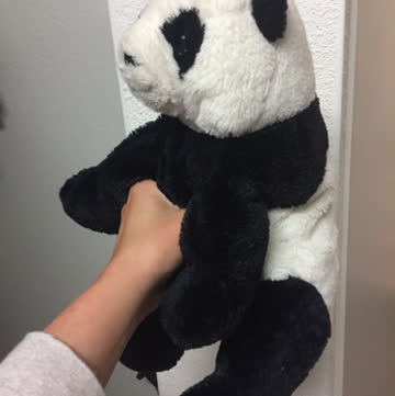 Pandabär
