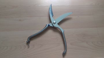 Exsila Artikel: Poulet schere Neu und ungebraucht