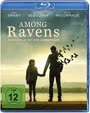 Among Ravens - Jede Familie hat ihre Geheimnisse