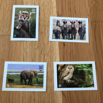 Migros Animal Planet