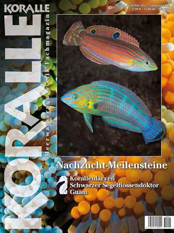Koralle Magazin 104 April-Mai 17