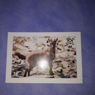 Animal Planet Mania Nr. 38