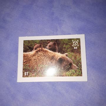 Animal Pkanet Mania Nr. 51