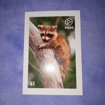 Animal Planet Mania Nr. 61