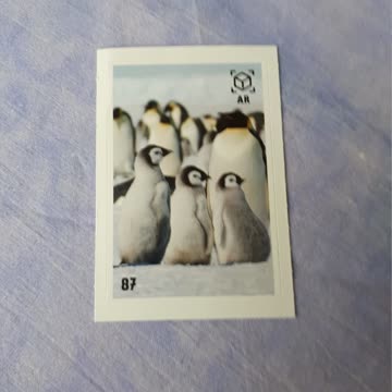 Animal Planet Mania Nr. 87