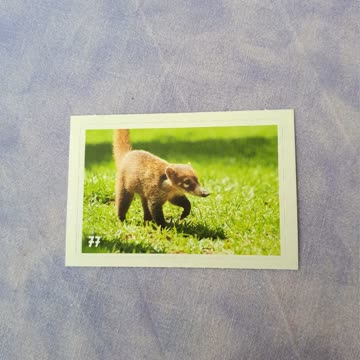 Animal Planet Mania Nr. 77