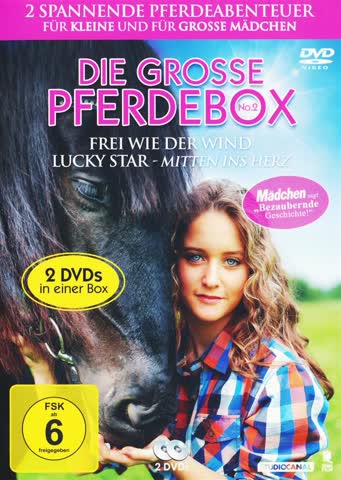 Die grosse Pferde Box