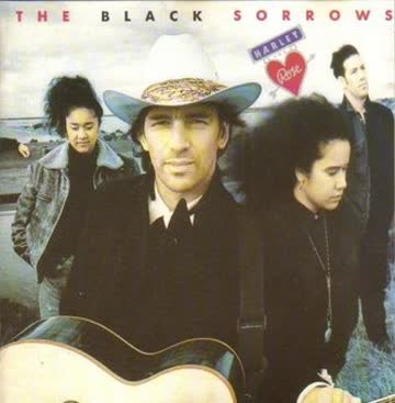 Black Sorrows - Harley & Rose