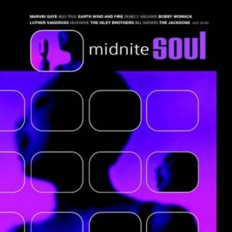 Various Artists - Midnite Soul [Budget]