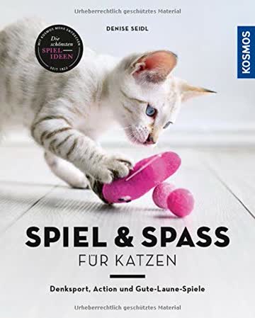 Spiel und Spass für Katzen