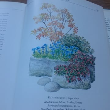 Der harmonische Garten