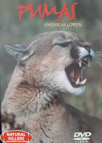 Pumas-Amerikas Löwen / Natural Killers 21