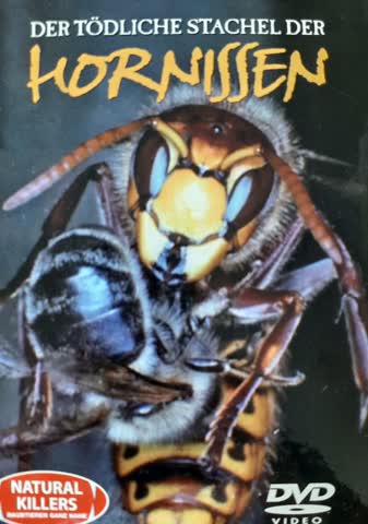 Der tödliche Stachel der Hornissen / Natural Killers 24