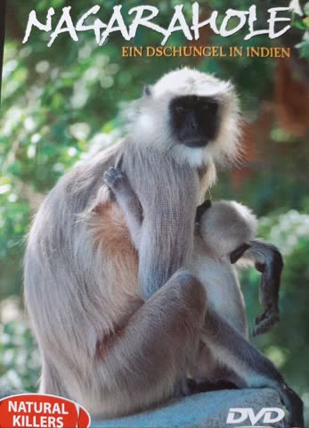 Nagarahole-ein Dschungel in Indien / Natural Killers 35