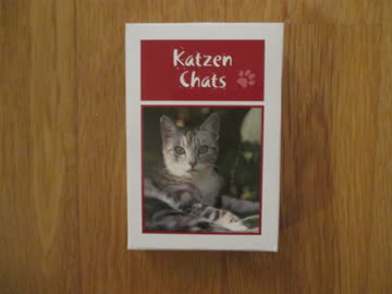 Katzen Quartett