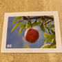 Bild 86