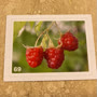 Bild 69