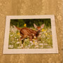 Bild 52
