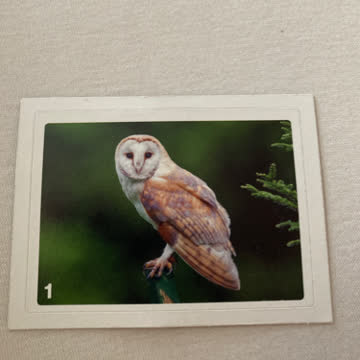 Bild 01