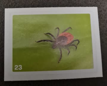 Nature Detectives Nr. 23
