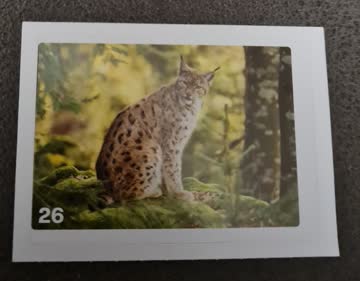 Nature Detectives Nr. 26