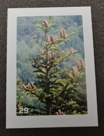 Nature Detectives Nr. 29