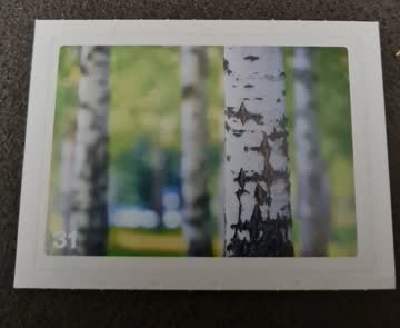 Nature Detectives Nr. 31