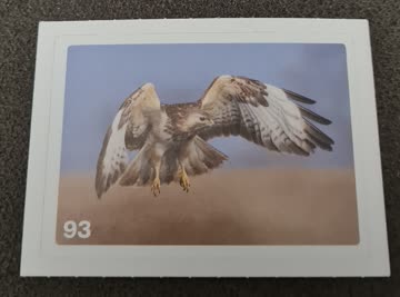 Nature Detectives Nr. 93