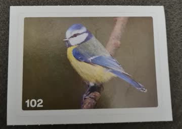 Nature Detectives Nr. 102