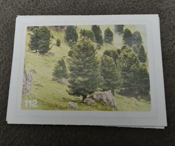 Nature Detectives Nr. 112