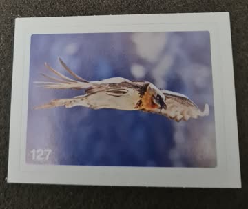 Nature Detectives Nr. 127