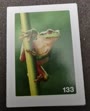 Nature Detectives Nr. 133