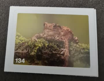 Nature Detectives Nr. 134