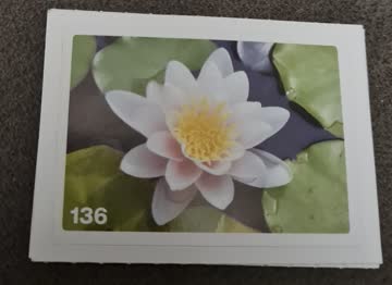 Nature Detectives Nr. 136