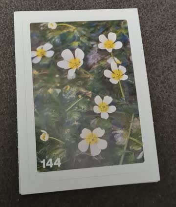Nature Detectives Nr. 144