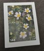 Nature Detectives Nr. 144