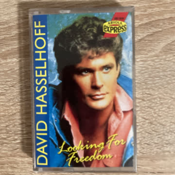 David Hasselhoff